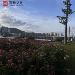 吃初二学生小馒头好吗
