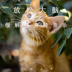 吃初二学生小馒头好吗
